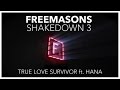 Freemasons Ft. HANA - True Love Survivor