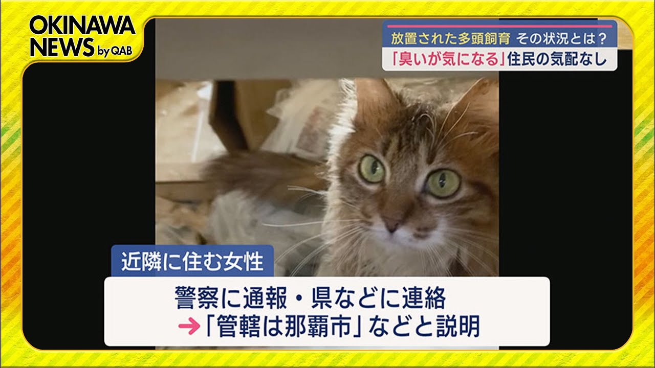 当時のメディア報道・掲載写真