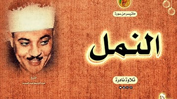 صوت جميل يحمل بكل معاني الجمال والخشوع | الشيخ عبد الباسط عبد الصمد تلاوة نادرة من إحدى سهرات بمصر ❤