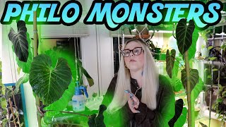 My 2 Biggest House Plants, New Aquaponics Setup & New Life Tropicals Update screenshot 5