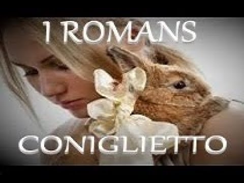 I Romans Coniglietto