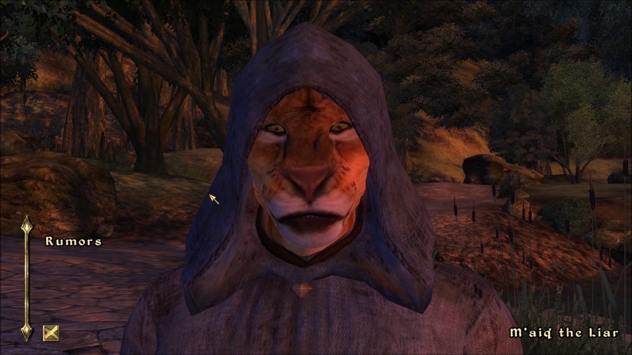Lets Play - The Elder Scrolls IV - Oblivion - Part 14 - YouTube