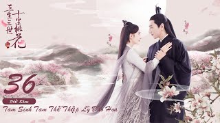 Tam Sinh Tam Thế Thập Lý Đào Hoa Tập 36 Eternal Love