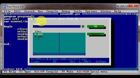 Programacion en Pascal - Declaracion de variables. Carga de datos e impresion.