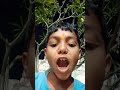 har har Mahadev