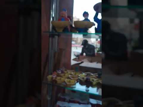 فلوج استمتعوا جوله في احسن محل في شرع طه حسين