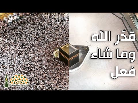 أبيات بعنوان قدر الله وماشاء فعل للشاعر ماجد الشيبة وألقاها فضيلة الشيخ عبدالباقي الأنصاري