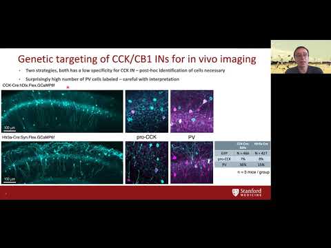 Organization and control of hippocampal circuits in epilepsy recording thumbnail