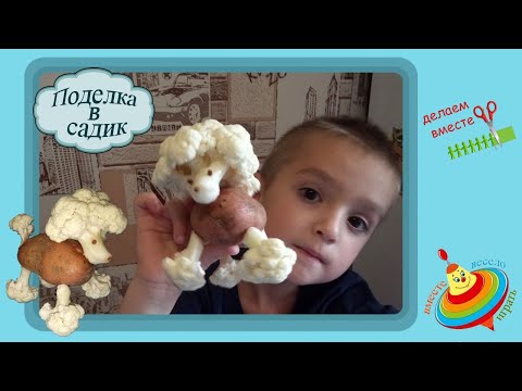 Пудель из цветной капусты своими руками фото