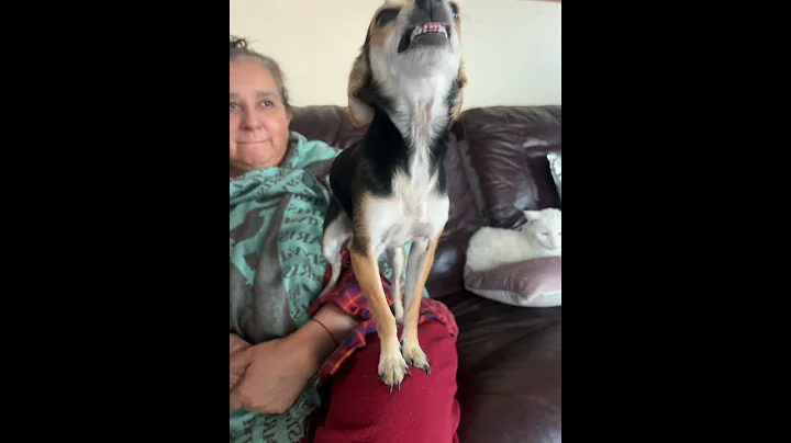 He smiles to get out of trouble