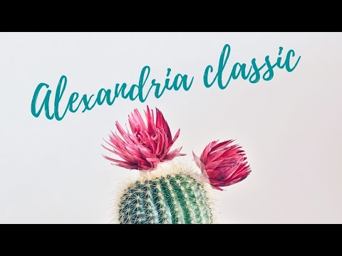 Alexandria Classic