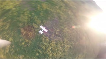 Flying with RC plane :: Vortex 250 Pro