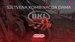 Maschio DAMA 300 | BKL