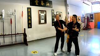 Basic Wing Chun techniques for beginners