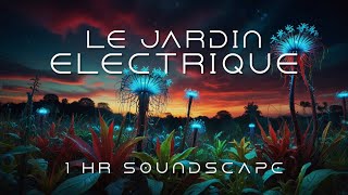 Le Jardin Electrique - 1:00 hr Ambient Soundscape