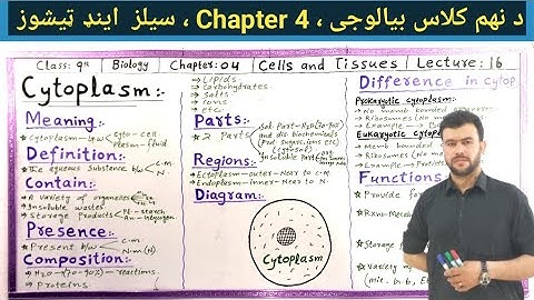 Cytoplasm class 9 Biology chapter 4 Cells and Tissues in Pashto | Sabar Khan Lectures 