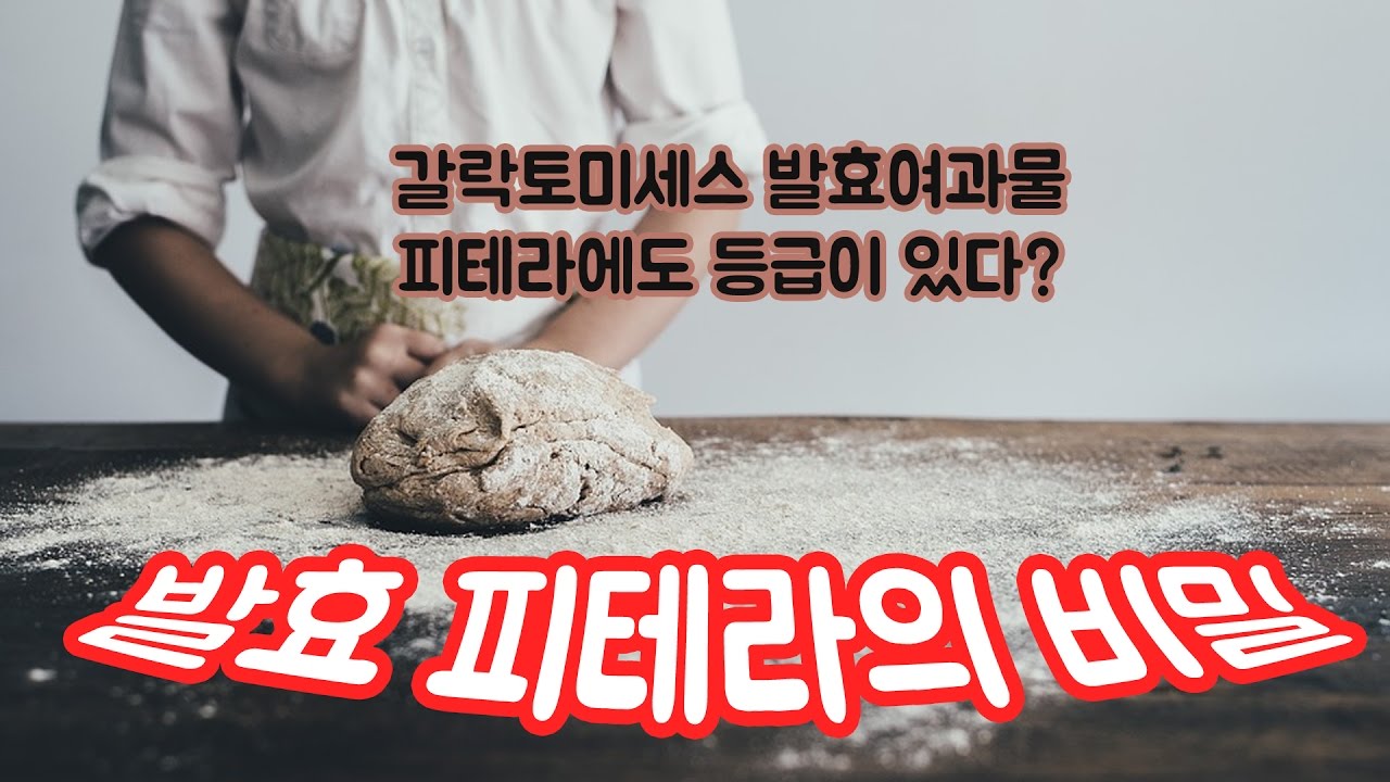 피테라 갈락토미세스 성분의 비밀 : 발효 화장품의 등급