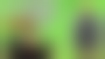 Vivosun VCure Smart Drying & Curing Box (FULL REVIEW!)