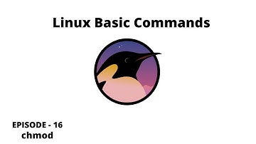 Linux Basic Commands | Episode 16 | chmod command | beginners | tamil
