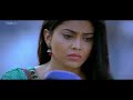 777 Charlie Full Hindi Movie By Movie Maker 