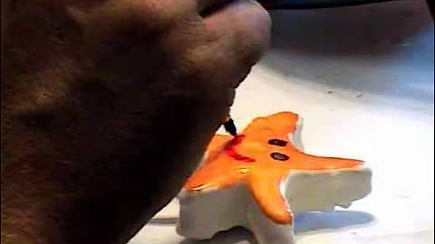 How to make sea creature cake pops