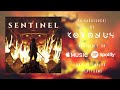 Koronus  sentinel full album stream  progressive metal  djent 2023