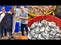 Mangalore’s LARGEST SEAFOOD MARKET|Incredible Variety Of Seafood|Mangalore BUNDER|Affordable, Fresh!