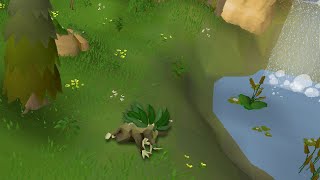 Trailblazer Strategy The Enchanted Valley Pure. ██████████ and a defense to Relic 3.