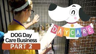 How To Start A Dog Day Care Business  Part 2