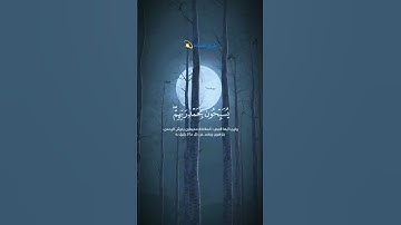 ايات قرانية تلاوات نادره قران قران كريم