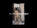 フィラー取付作業
