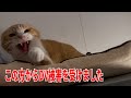 【なじゅDay】平和に撮影していたのに最後に撮影の妨害を受けました