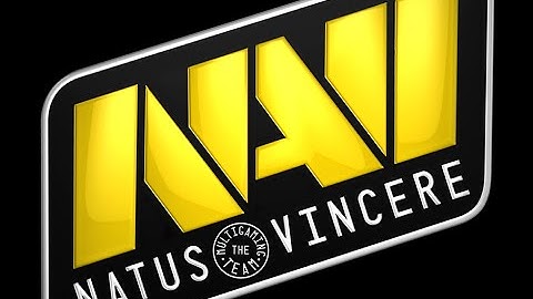 NAVI VS NIP NAVI MOMENTS