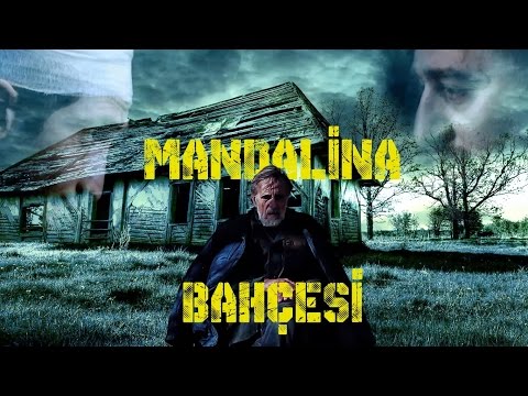 TANGERINES TRAILER COVER (MANDALİNA BAHÇESİ)