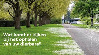 Wat komt er kijken bij het ophalen van uw dierbare? - PC Uitvaart