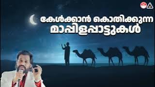 കേൾക്കാൻ കൊതിക്കുന്ന മാപ്പിളപ്പാട്ടുകൾ | KJ Yesudas | #mappilappattukal | #mappilappattu | THARANGNI