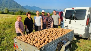 🇺🇦🥔Життя в Селі. Збір Картоплі. Допомагаємо Батькам. Дякуємо Богу за Щедрий Урожай.🥔🇺🇦