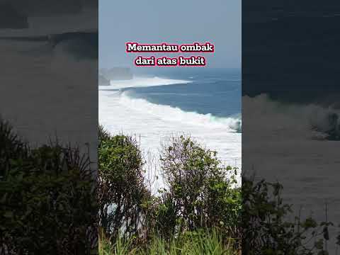 memantau ombak yang makin mengganas