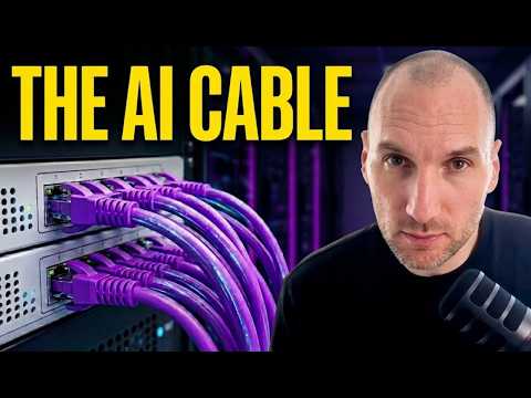 CRDO Stock: The Inside Look at AI's Most Critical Cable