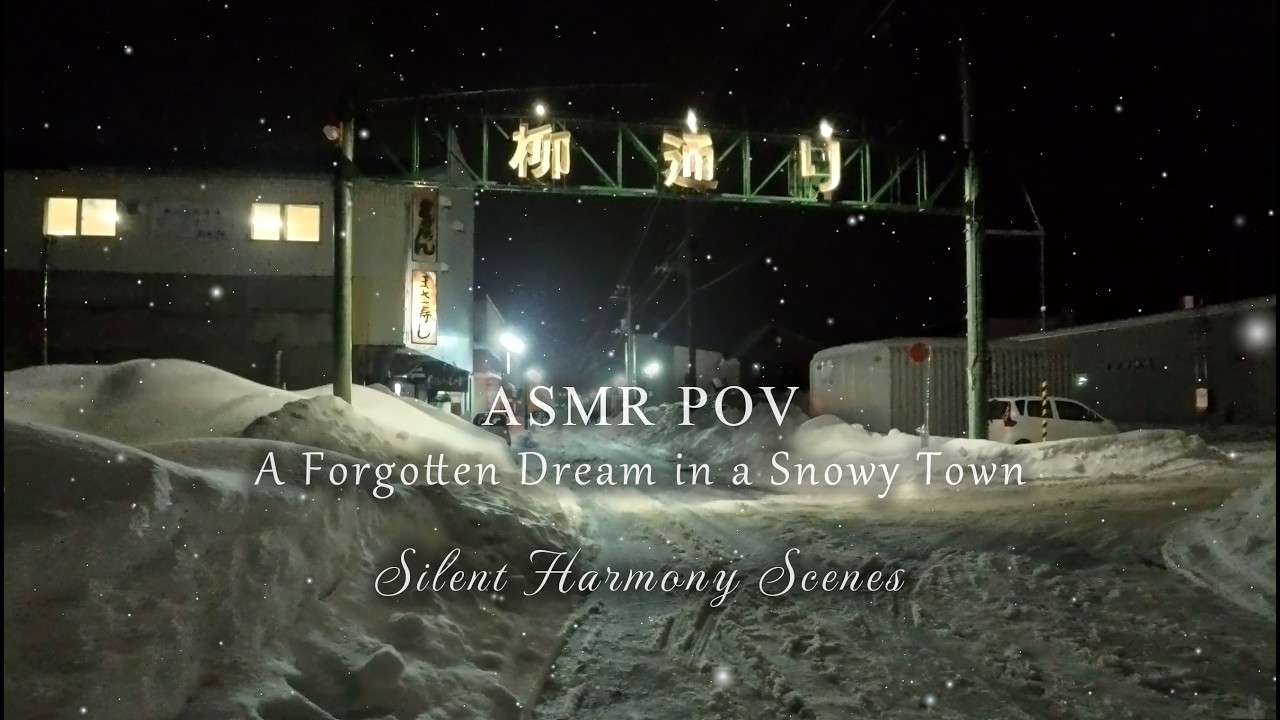 Midnight Snow Walk in Hokkaido | 9 Minutes of Pure Footstep ASMR & City Silence 北海道、静かな歓楽街雪散歩｜足音ASMR