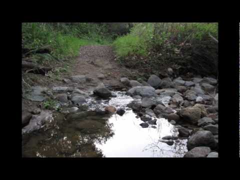 yoga-music---hatha-yoga-for-meditation-(rhythm-of-a-vision)