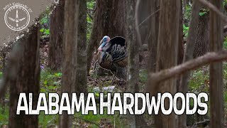 TURKEY HUNTING the WOODS | A BEAUTIFUL BENCH DWELLING GOBBLER | WHEN IT GOES ALMOST RIGHT!