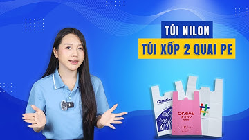 Túi Xốp 2 Quai PE – Mềm Dẻo, Bền Chắc, Khả Năng Chịu Lực Tốt | Vinpack
