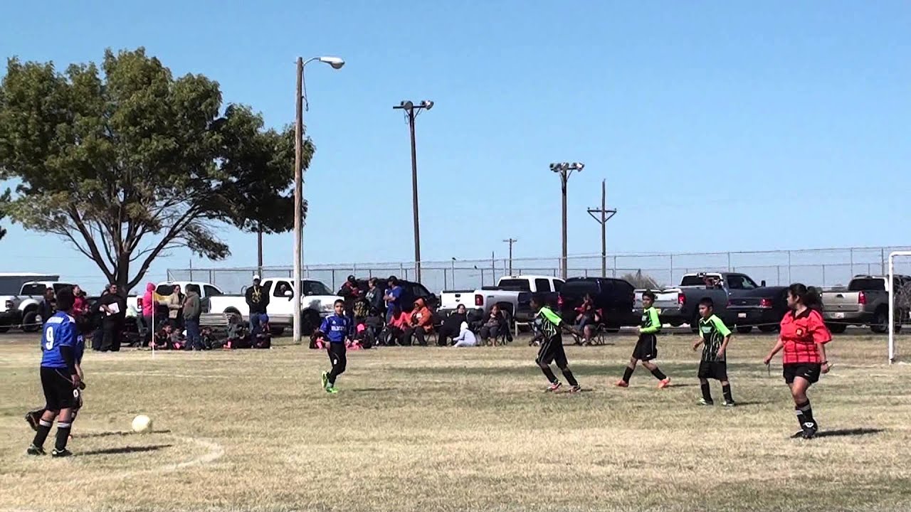 Wilcats Soccer camera iphone 8 plus apk