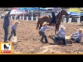 Youth Team Branding - 2023 Motley / Dickens Old Settlers Rodeo