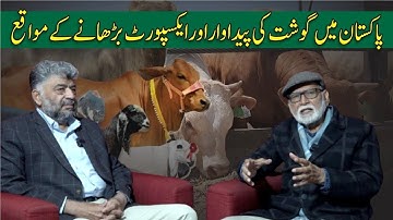 Be a part of one million animals