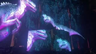 Excision evolution intro