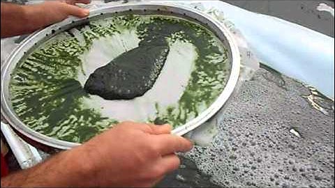 AlgaeArt   filtering Spirulina by hand