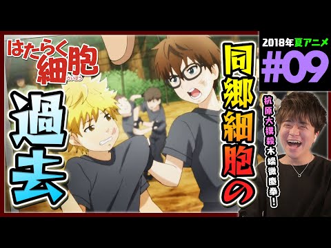 Hataraku Saibou!! at 9anime