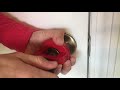 A1 Quick Pull tool - Kwikset Knobs